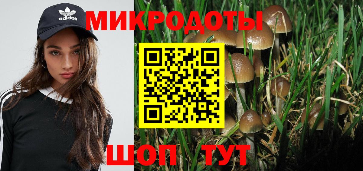 Псилоцибиновые грибы мицелий Энгельс