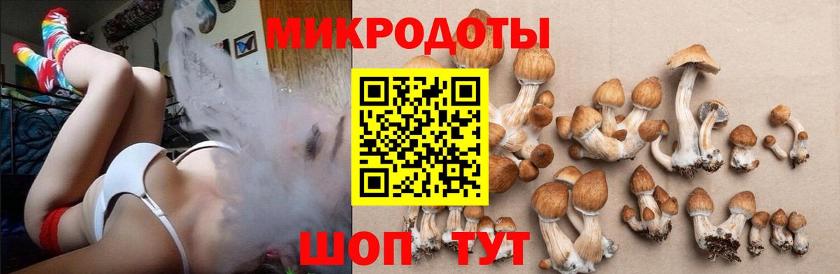 Энгельс  Галлюциногенные грибы GOLDEN TEACHER  купить наркотики сайты  Вход с VPN 